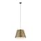 Z-Lite Lilly Pendant, 1-Light, 24 In.W x 18 In.H, Modern Gold/Modern Gold 2307-24MGLD - alternate 5